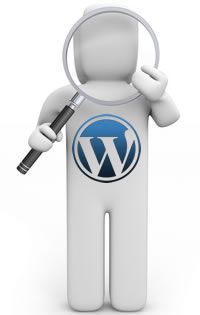 Configurar SEO en WordPress